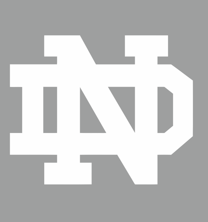 Notre Dame Fighting Irish 1994-Pres Alternate Logo v9 DIY iron on transfer (heat transfer)...